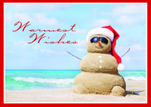 Sanda Claus Holiday Cards